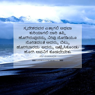 Picture 07 - ಧರ್ಮೋಪದೇಶಕಾಂಡ 22:1 KANIRV - ಸ್ವದೇಶದವನ - Bible Verse Picture