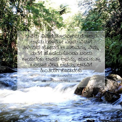 Picture 07 - ಧರ್ಮೋಪದೇಶಕಾಂಡ 22:2 KANIRV - ಅವನು ನಿಮಗೆ - Bible Verse Picture