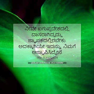 Picture 07 - ಧರ್ಮೋಪದೇಶಕಾಂಡ 24:22 KANIRV - ನೀವೇ - Bible Verse Picture
