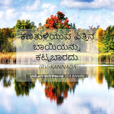 Picture 07 - ಧರ್ಮೋಪದೇಶಕಾಂಡ 25:4 KANIRV - ಕಣತುಳಿಯುವ ಎತ್ತಿನ - Bible Verse Picture