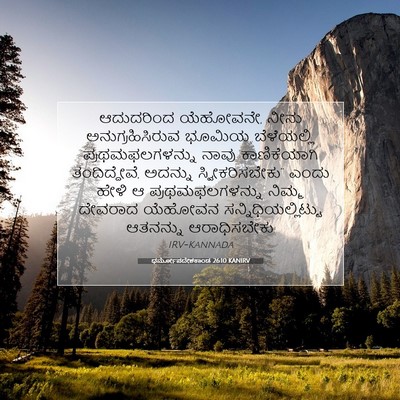 Picture 07 - ಧರ್ಮೋಪದೇಶಕಾಂಡ 26:10 KANIRV - ಆದುದರಿಂದ ಯೆಹೋವನೇ, - Bible Verse Picture