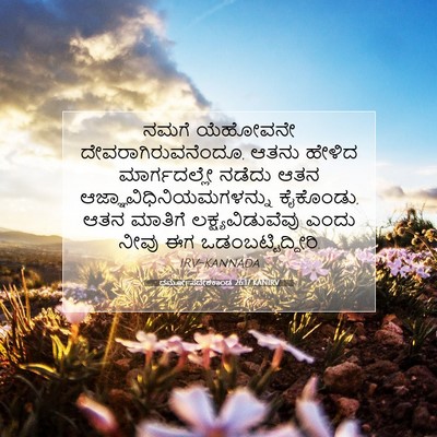 Picture 07 - ಧರ್ಮೋಪದೇಶಕಾಂಡ 26:17 KANIRV - ನಮಗೆ ಯೆಹೋವನೇ - Bible Verse Picture