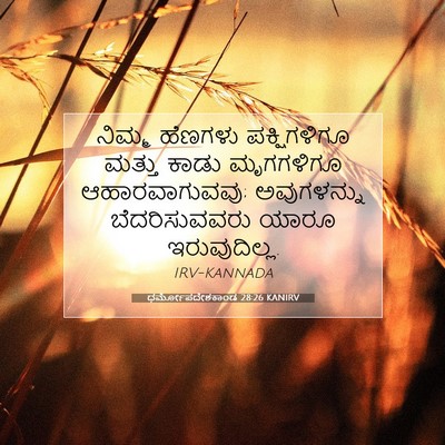 Picture 07 - ಧರ್ಮೋಪದೇಶಕಾಂಡ 28:26 KANIRV - ನಿಮ್ಮ ಹೆಣಗಳು - Bible Verse Picture