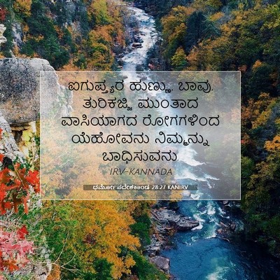 Picture 07 - ಧರ್ಮೋಪದೇಶಕಾಂಡ 28:27 KANIRV - ಐಗುಪ್ತ್ಯರ ಹುಣ್ಣು, - Bible Verse Picture