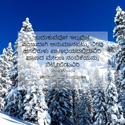 Picture 07 - ಧರ್ಮೋಪದೇಶಕಾಂಡ 28:66 KANIRV - ಬದುಕುವೆವೋ ಇಲ್ಲವೋ - Bible Verse Picture