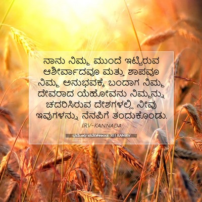 Picture 07 - ಧರ್ಮೋಪದೇಶಕಾಂಡ 30:1 KANIRV - ನಾನು ನಿಮ್ಮ ಮುಂದೆ - Bible Verse Picture