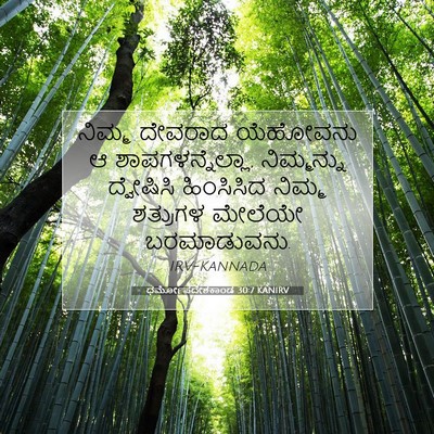 Picture 07 - ಧರ್ಮೋಪದೇಶಕಾಂಡ 30:7 KANIRV - ನಿಮ್ಮ ದೇವರಾದ - Bible Verse Picture