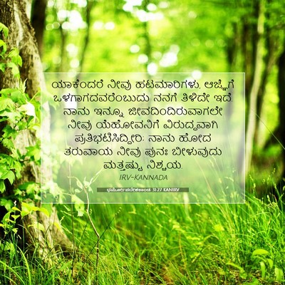 Picture 07 - ಧರ್ಮೋಪದೇಶಕಾಂಡ 31:27 KANIRV - ಯಾಕೆಂದರೆ ನೀವು - Bible Verse Picture