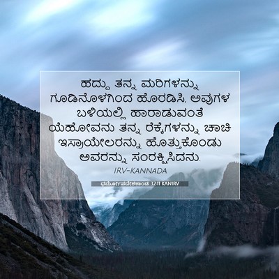 Picture 07 - ಧರ್ಮೋಪದೇಶಕಾಂಡ 32:11 KANIRV - ಹದ್ದು ತನ್ನ - Bible Verse Picture