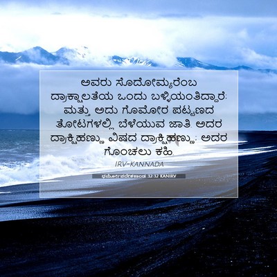 Picture 07 - ಧರ್ಮೋಪದೇಶಕಾಂಡ 32:32 KANIRV - ಅವರು ಸೊದೋಮ್ಯರೆಂಬ - Bible Verse Picture