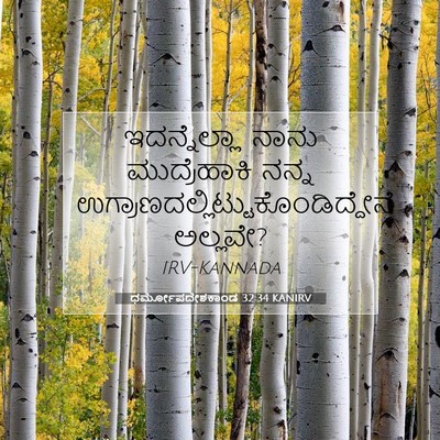 Picture 07 - ಧರ್ಮೋಪದೇಶಕಾಂಡ 32:34 KANIRV - ಇದನ್ನೆಲ್ಲಾ ನಾನು - Bible Verse Picture
