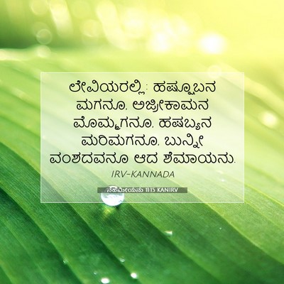 Picture 07 - ನೆಹೆಮೀಯನು 11:15 KANIRV - ಲೇವಿಯರಲ್ಲಿ: - Bible Verse Picture