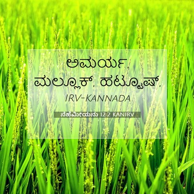 Picture 07 - ನೆಹೆಮೀಯನು 12:2 KANIRV - ಅಮರ್ಯ, ಮಲ್ಲೂಕ್, - Bible Verse Picture
