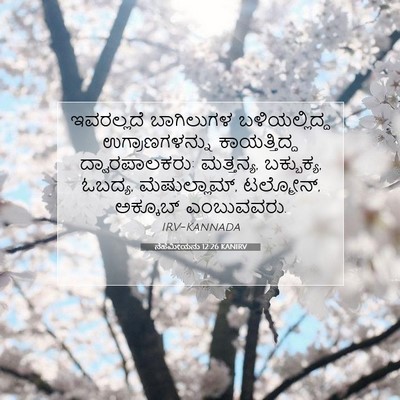 Picture 07 - ನೆಹೆಮೀಯನು 12:26 KANIRV - ಇವರಲ್ಲದೆ ಬಾಗಿಲುಗಳ - Bible Verse Picture