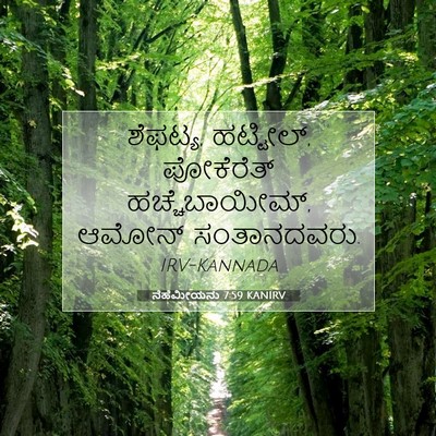 Picture 07 - ನೆಹೆಮೀಯನು 7:59 KANIRV - ಶೆಫಟ್ಯ, ಹಟ್ಟೀಲ್, - Bible Verse Picture