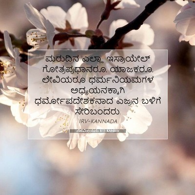 Picture 07 - ನೆಹೆಮೀಯನು 8:13 KANIRV - ಮರುದಿನ ಎಲ್ಲಾ - Bible Verse Picture