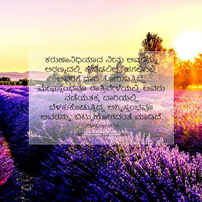 Picture 07 - ನೆಹೆಮೀಯನು 9:19 KANIRV - ಕರುಣಾನಿಧಿಯಾದ ನೀನು - Bible Verse Picture