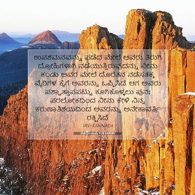 Picture 07 - ನೆಹೆಮೀಯನು 9:28 KANIRV - ಉಪಶಮನವನ್ನು ಪಡೆದ - Bible Verse Picture