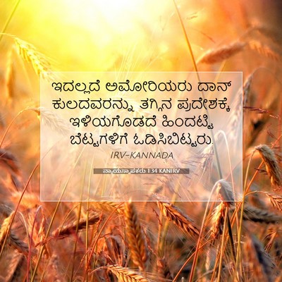Picture 07 - ನ್ಯಾಯಸ್ಥಾಪಕರು 1:34 KANIRV - ಇದಲ್ಲದೆ ಅಮೋರಿಯರು - Bible Verse Picture