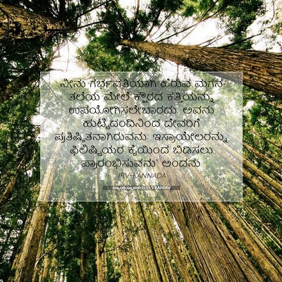 Picture 07 - ನ್ಯಾಯಸ್ಥಾಪಕರು 13:5 KANIRV - ನೀನು ಗರ್ಭವತಿಯಾಗಿ - Bible Verse Picture