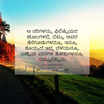 Picture 07 - ನ್ಯಾಯಸ್ಥಾಪಕರು 15:5 KANIRV - ಆ ನರಿಗಳನ್ನು - Bible Verse Picture