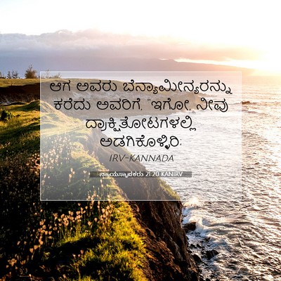 Picture 07 - ನ್ಯಾಯಸ್ಥಾಪಕರು 21:20 KANIRV - ಆಗ ಅವರು - Bible Verse Picture