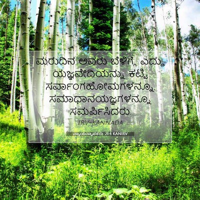 Picture 07 - ನ್ಯಾಯಸ್ಥಾಪಕರು 21:4 KANIRV - ಮರುದಿನ ಅವರು - Bible Verse Picture