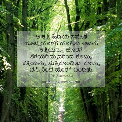 Picture 07 - ನ್ಯಾಯಸ್ಥಾಪಕರು 3:22 KANIRV - ಆ ಕತ್ತಿ ಹಿಡಿಯ ಸಮೇತ - Bible Verse Picture