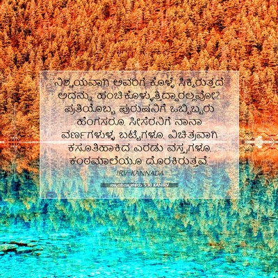Picture 07 - ನ್ಯಾಯಸ್ಥಾಪಕರು 5:30 KANIRV - ‘ನಿಶ್ಚಯವಾಗಿ - Bible Verse Picture