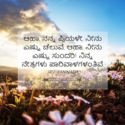 Picture 07 - ಪರಮಗೀತೆ 1:15 KANIRV - ಆಹಾ, ನನ್ನ ಪ್ರಿಯಳೇ, - Bible Verse Picture