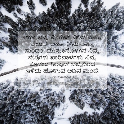 Picture 07 - ಪರಮಗೀತೆ 4:1 KANIRV - ಆಹಾ, ನನ್ನ ಪ್ರಿಯಳೇ, - Bible Verse Picture