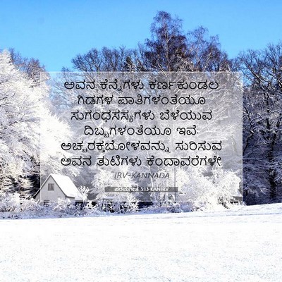 Picture 07 - ಪರಮಗೀತೆ 5:13 KANIRV - ಅವನ ಕೆನ್ನೆಗಳು - Bible Verse Picture