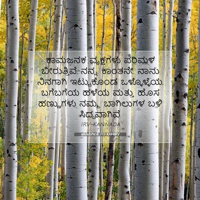 Picture 07 - ಪರಮಗೀತೆ 7:13 KANIRV - ಕಾಮಜನಕ ವೃಕ್ಷಗಳು - Bible Verse Picture