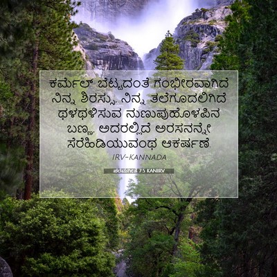 Picture 07 - ಪರಮಗೀತೆ 7:5 KANIRV - ಕರ್ಮೆಲ್ ಬೆಟ್ಟದಂತೆ - Bible Verse Picture