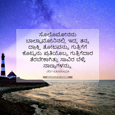 Picture 07 - ಪರಮಗೀತೆ 8:11 KANIRV - ಸೊಲೊಮೋನನು - Bible Verse Picture