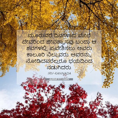 Picture 07 - ಪ್ರಕಟಣೆ 11:11 KANIRV - ಮೂರುವರೆ ದಿನಗಳಾದ - Bible Verse Picture