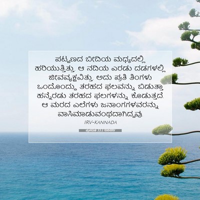 Picture 07 - ಪ್ರಕಟಣೆ 22:2 KANIRV - ಪಟ್ಟಣದ ಬೀದಿಯ - Bible Verse Picture