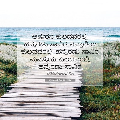 Picture 07 - ಪ್ರಕಟಣೆ 7:6 KANIRV - ಅಷೇರನ ಕುಲದವರಲ್ಲಿ - Bible Verse Picture