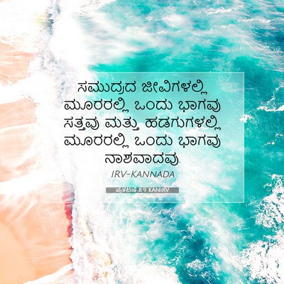 Picture 07 - ಪ್ರಕಟಣೆ 8:9 KANIRV - ಸಮುದ್ರದ - Bible Verse Picture