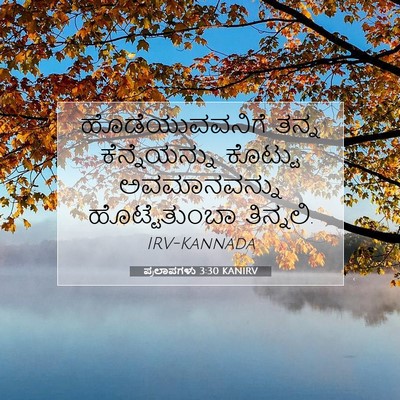 Picture 07 - ಪ್ರಲಾಪಗಳು 3:30 KANIRV - ಹೊಡೆಯುವವನಿಗೆ ತನ್ನ - Bible Verse Picture