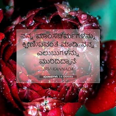 Picture 07 - ಪ್ರಲಾಪಗಳು 3:4 KANIRV - ನನ್ನ - Bible Verse Picture