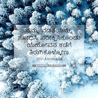 Picture 07 - ಪ್ರಲಾಪಗಳು 3:40 KANIRV - ನಮ್ಮ ನಡತೆಯನ್ನು - Bible Verse Picture