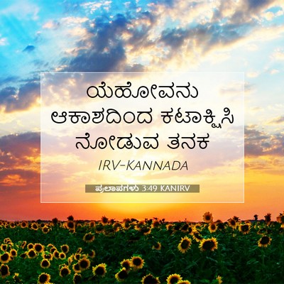 Picture 07 - ಪ್ರಲಾಪಗಳು 3:49 KANIRV - ಯೆಹೋವನು ಆಕಾಶದಿಂದ - Bible Verse Picture