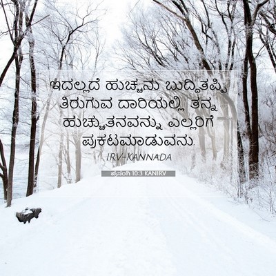 Picture 07 - ಪ್ರಸಂಗಿ 10:3 KANIRV - ಇದಲ್ಲದೆ ಹುಚ್ಚನು - Bible Verse Picture