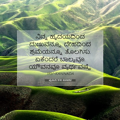 Picture 07 - ಪ್ರಸಂಗಿ 11:10 KANIRV - ನಿನ್ನ ಹೃದಯದಿಂದ - Bible Verse Picture