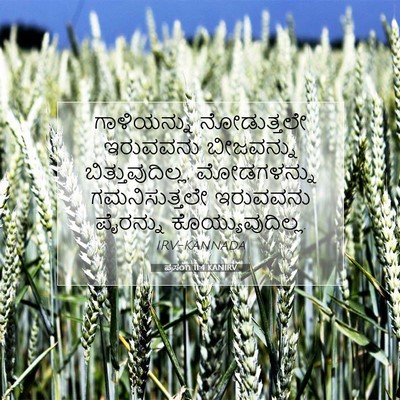 Picture 07 - ಪ್ರಸಂಗಿ 11:4 KANIRV - ಗಾಳಿಯನ್ನು - Bible Verse Picture