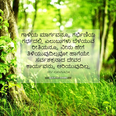 Picture 07 - ಪ್ರಸಂಗಿ 11:5 KANIRV - ಗಾಳಿಯ ಮಾರ್ಗವನ್ನೂ, - Bible Verse Picture