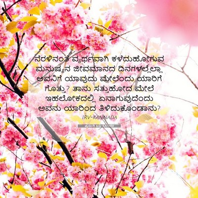 Picture 07 - ಪ್ರಸಂಗಿ 6:12 KANIRV - ನೆರಳಿನಂತೆ - Bible Verse Picture
