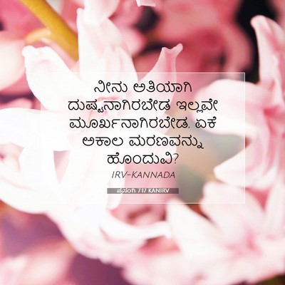 Picture 07 - ಪ್ರಸಂಗಿ 7:17 KANIRV - ನೀನು ಅತಿಯಾಗಿ - Bible Verse Picture