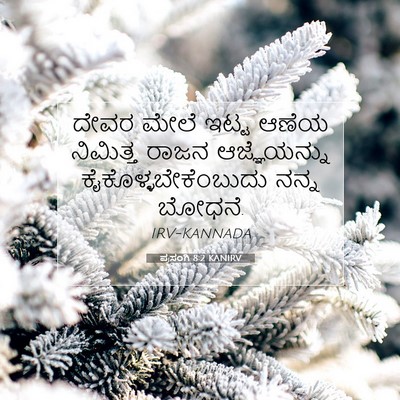 Picture 07 - ಪ್ರಸಂಗಿ 8:2 KANIRV - ದೇವರ ಮೇಲೆ ಇಟ್ಟ - Bible Verse Picture